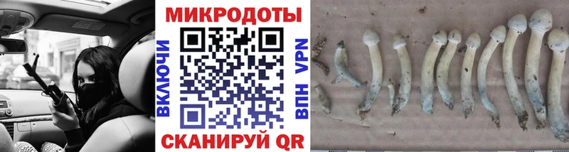 наркота  Цимлянск  Псилоцибиновые грибы мицелий 